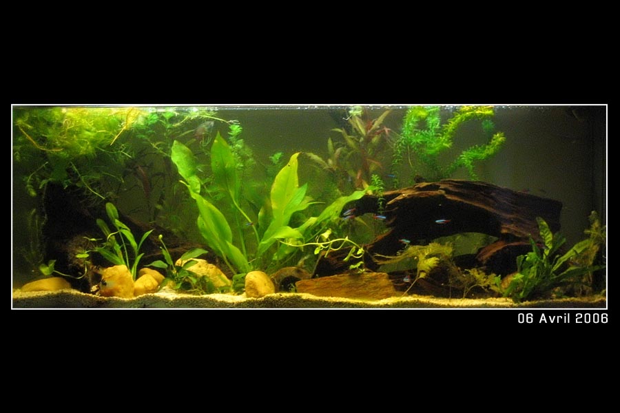 vue centrale l'aquarium