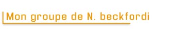 mon groupe de Nannostomus beckfordi